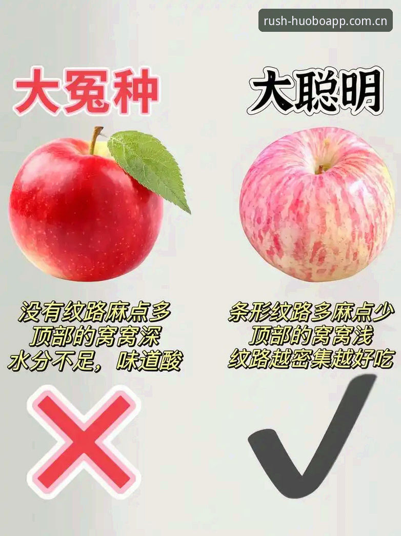 苹果端直接装火博体育使用技巧：从踩坑到秒开的完整操作教程